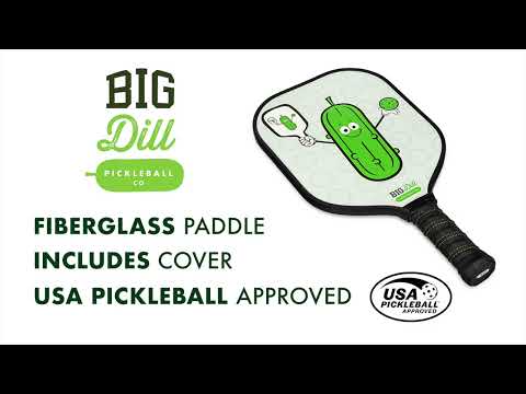 Infinity Fiberglass Composite Pickleball Paddle with Cover - USA Pickleball Approved - Best Pickleball Paddles for Beginners